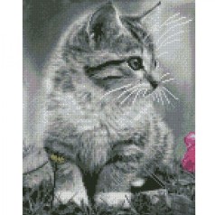 Алмазная мозаика "Серый котенок" 30х40 см