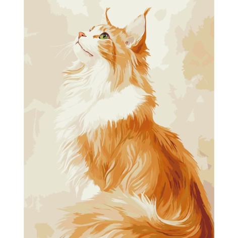 Картина по номерам "Рыжий Мэйн-кун" 40х50 см
