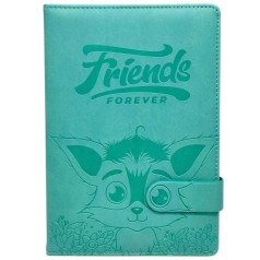 Блокнот формат А5, 64 листа (ДРУЗЬЯ НАВСЕГДА)