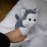 Слеп-браслет мягкая игрушка Собачка Корги