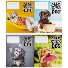 Зошит 12л лінія "Cat/Dog" Мрії здійснюються (40148), 20 штук