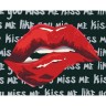 Картина по номерам с красками металлик "Kiss me" 40х50 см