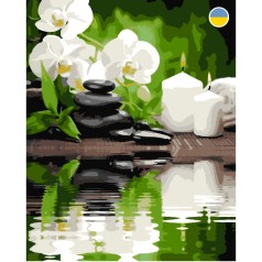 Картині за номерами, 40*50 см