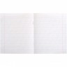 Тетрадь на 12 листов "ЦВЕТОК" КОСА С ДОП. ЛИНИЕЙ (40 ШТ)