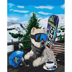 Картина по номерам "Сноубордист" ★★★★