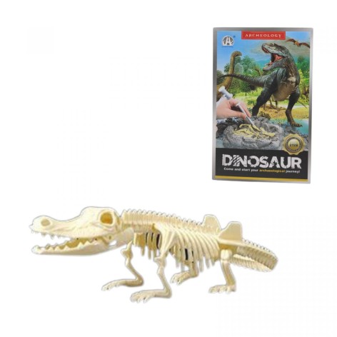 Раскопки CH 1301-1 (60) гипсовый брикет, набор инструментов в коробке.