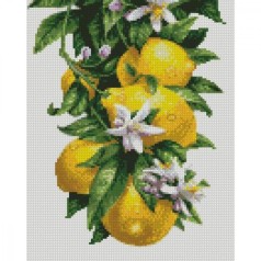 Алмазная мозаика "Лимоны" 30х40 см