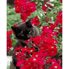 Картина по номерам "Котик в красных цветах"  ★★★★★