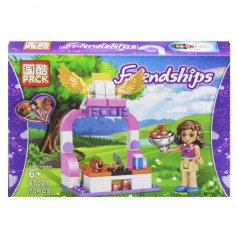 Конструктор "Friend", вид 1