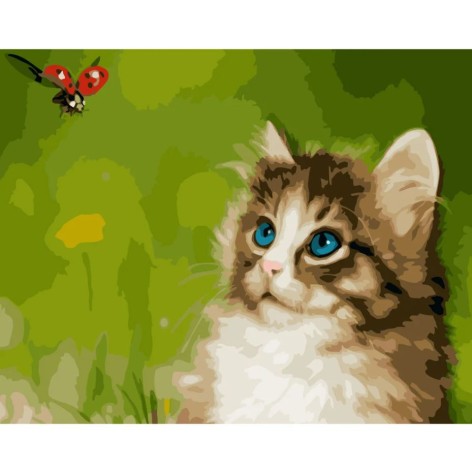 Картина по номерам "Котик с божьей коровкой" ★★★