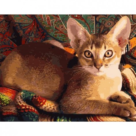 Картина по номерам "Домашняя кошка"