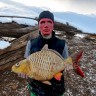 Мягкая подарочная игрушка "Рыба" 70 см