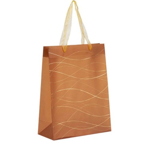 Пакет пластиковый подарочный (25х19 см)