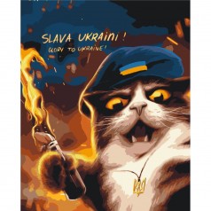 Картина по номерам "Котик повстанец ©Марианна Пащук" ★★★★