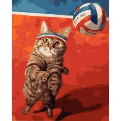 Картина по номерам "Кот и волейбол"
