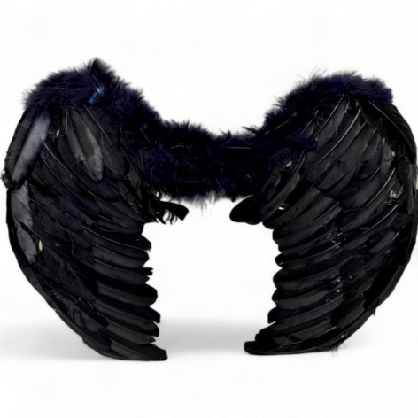 Ангелові крила з пір'я чорні