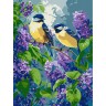 Картина за номерами "Весняний дует" 30х40 см