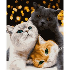 Картина по номерам "Котики-муркотики" ★★★★