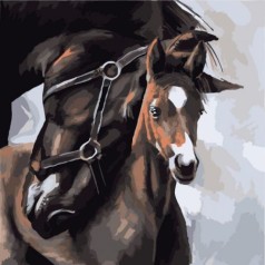 Картина за номерами 