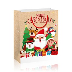 Подарочный пакет "Санта", вид 3