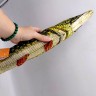 М'яка іграшка "Щука" 50 см