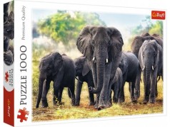 Пазлы "Африканские слоны", 1000 элементов