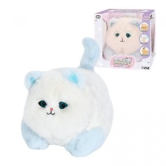 Котенок в коробке