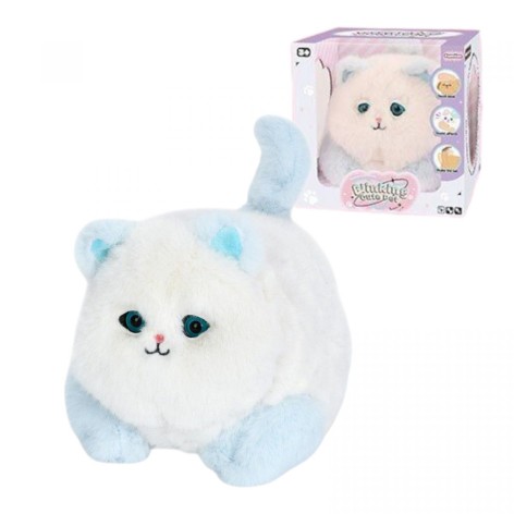 Котенок в коробке