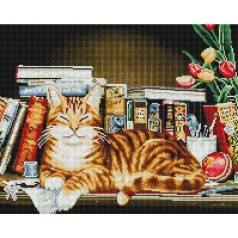 Алмазная мозаика "Кот среди книг" 40х50 см