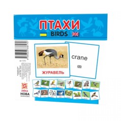 Карточки мини Птицы (110х110 мм) (укр)