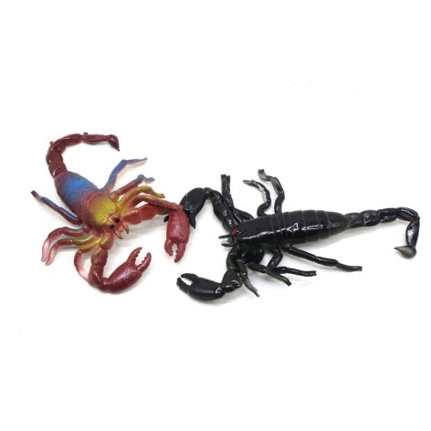 Скорпион Цветной