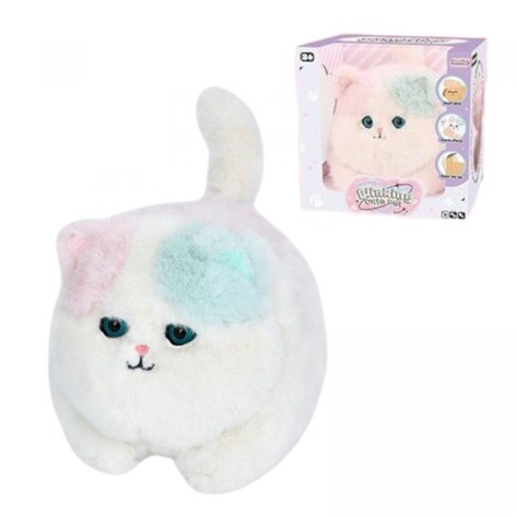 Котенок в коробке