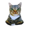 Игрушка мягкая «Кошка Лолита» размер М (25 см)