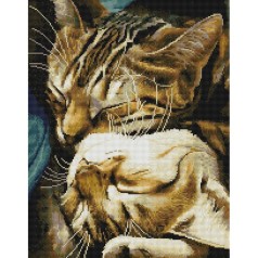 Алмазная мозаика "Спящие котики" 40х50 см