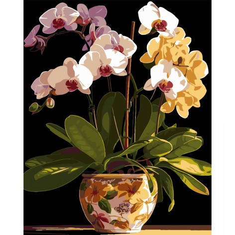 Картина по номерам на черном фоне 