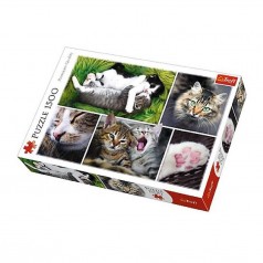 Пазлы "Коллаж: Коты", 1500 элементов