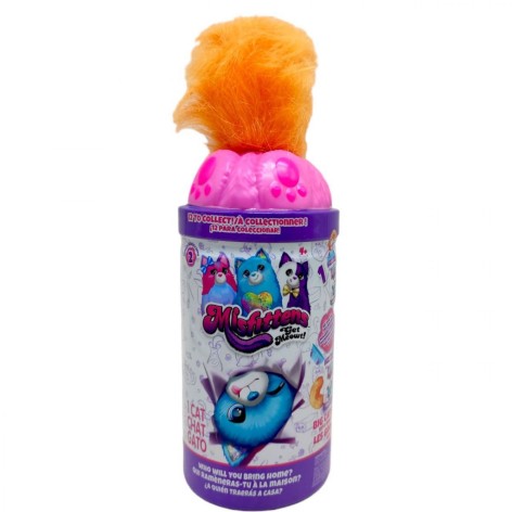 Котик в банке, рыжий хвост