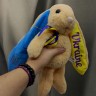 М'яка іграшка "Зайчик патріот" (30 см) бежевий