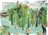 Книга "Большая книга птиц. Ювал Зоммер" (укр)