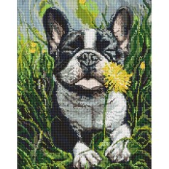 Алмазная мозаика "Пес и одуванчик" 40х50 см