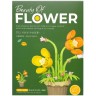 Конструктор "Flower" короб. 9*4,5*12см