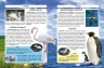Книга "Світ навколо нас. Хто скільки живе?" (рус)