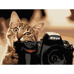 Картина за номерами "Пухнастий фотограф" 40х50 см