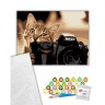 Картина за номерами "Пухнастий фотограф" 40х50 см