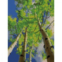 Алмазная мозаика "березовая роща"
