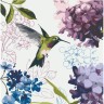 Картина по номерам "Колибры" 40x40 см