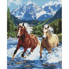 Алмазная мозаика "Сила в движении" 40х50 см