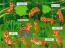 Книга-картонка "Первый виммельбух с окошками. В джунглях" (укр)