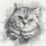 Картина по номерам "Зеленоглазый взгляд" ★★★