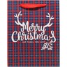 Пакет "MEDIUM XMAS" (178х98х229 мм.)  ВИД 3
